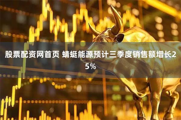 股票配资网首页 蜻蜓能源预计三季度销售额增长25%